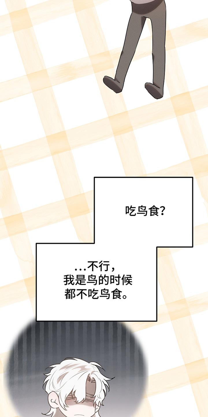 白鸟红酒漫画,第66章：约定3图