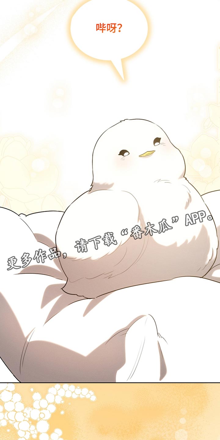 白鸟奇遇记漫画全集漫画,第68章：久等了吧2图