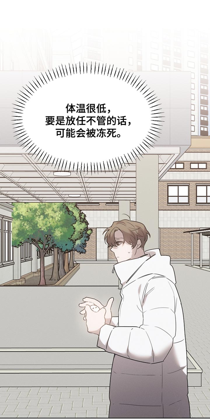 白鸟获取漫画,第59章：受伤的小鸟4图