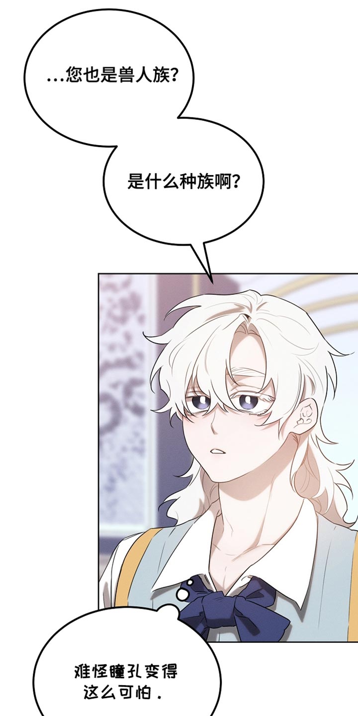 白鸟奇遇记漫画全集漫画,第68章：久等了吧2图