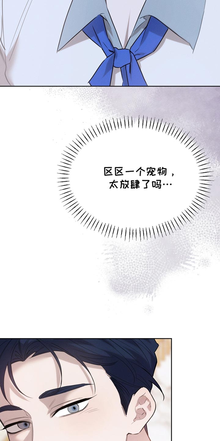 白鸟奇遇记漫画,第64章：朋友2图