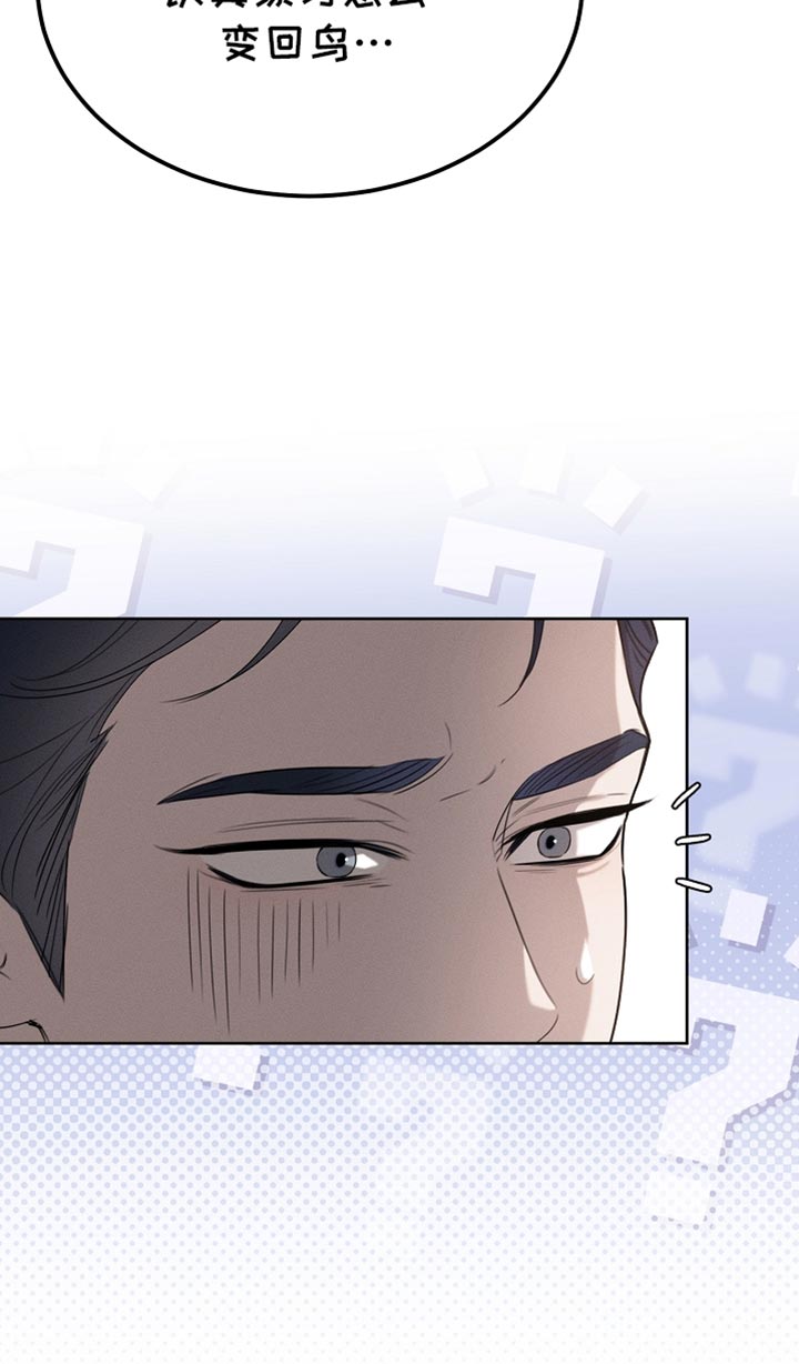 白鸟红酒漫画,第66章：约定3图