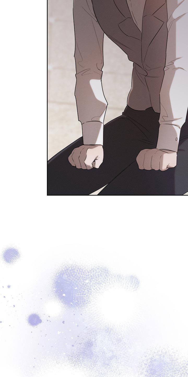 白鸟红酒漫画,第67章：道歉3图