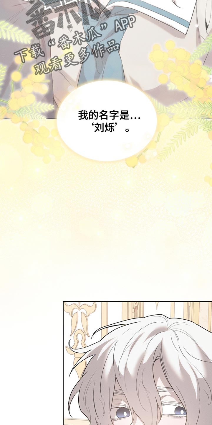 白鸟座漫画,第60章：无法支撑1图