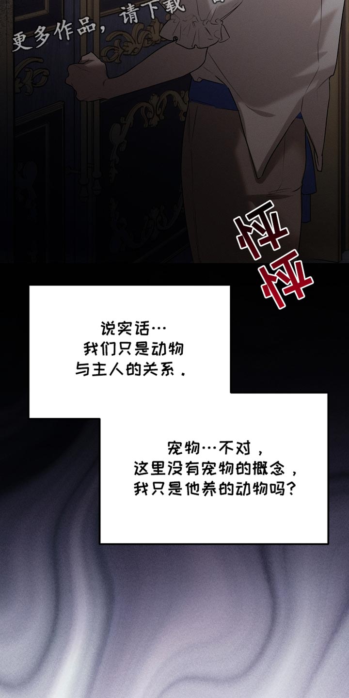 白鸟座漫画,第63章：只是客人2图