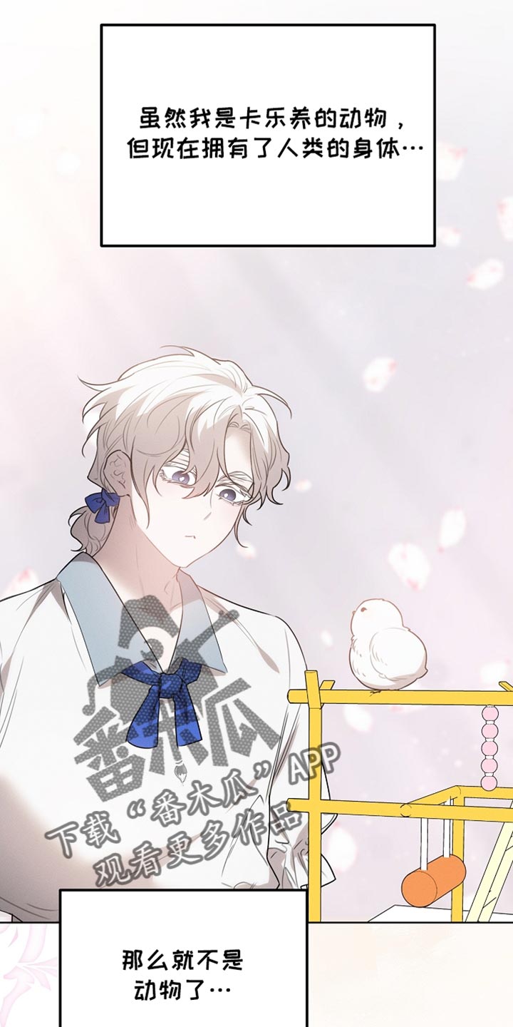 白鸟奇遇记漫画,第64章：朋友1图