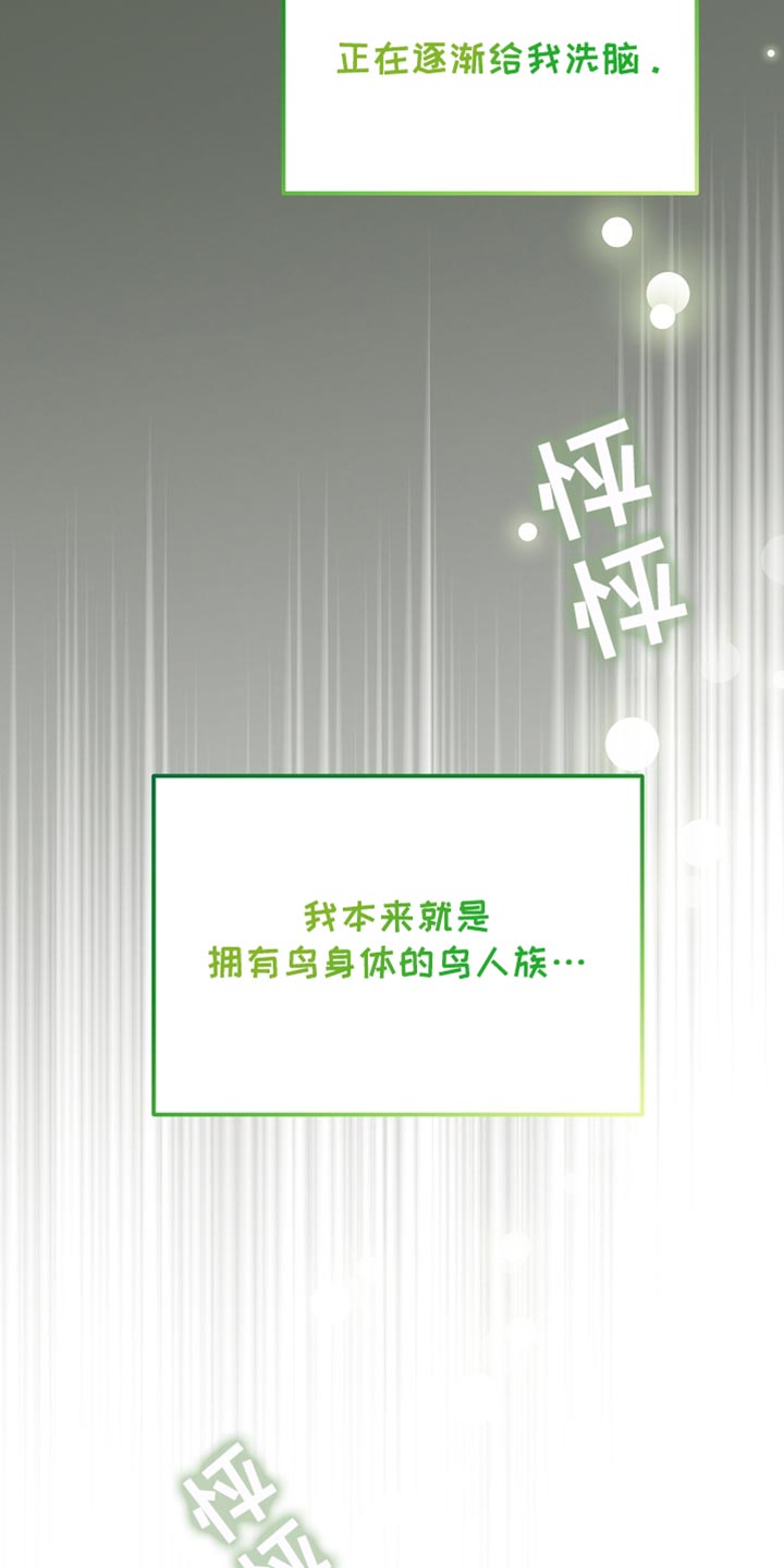 白鸟奇遇记漫画全集漫画,第68章：久等了吧4图