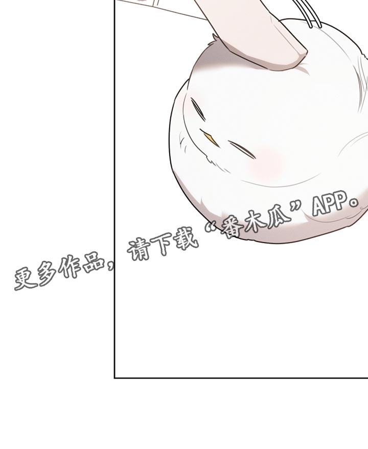 白鸟获取漫画,第59章：受伤的小鸟2图