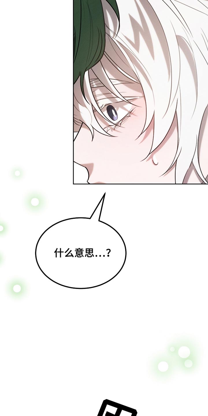 白鸟奇遇记漫画全集漫画,第68章：久等了吧5图