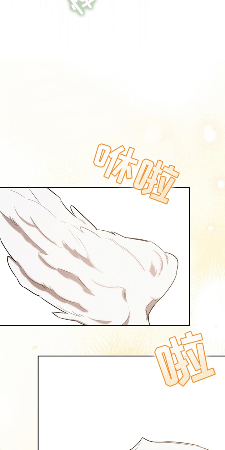 白鸟奇遇记漫画全集漫画,第68章：久等了吧5图