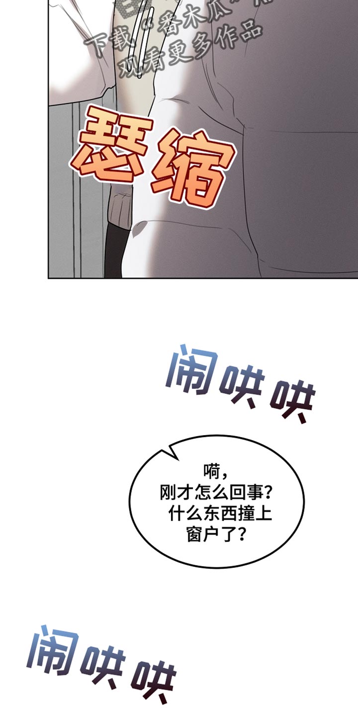 白鸟获取漫画,第59章：受伤的小鸟4图