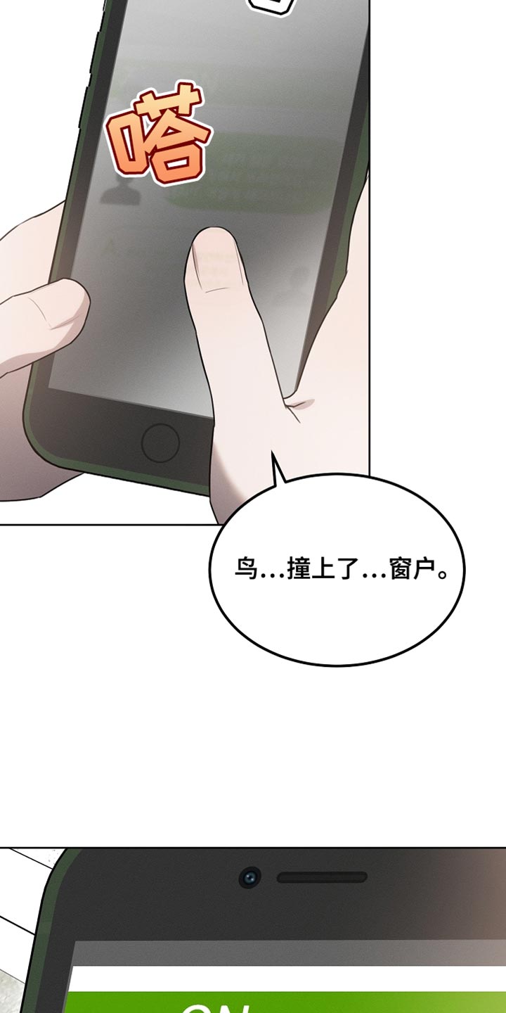 白鸟获取漫画,第59章：受伤的小鸟5图