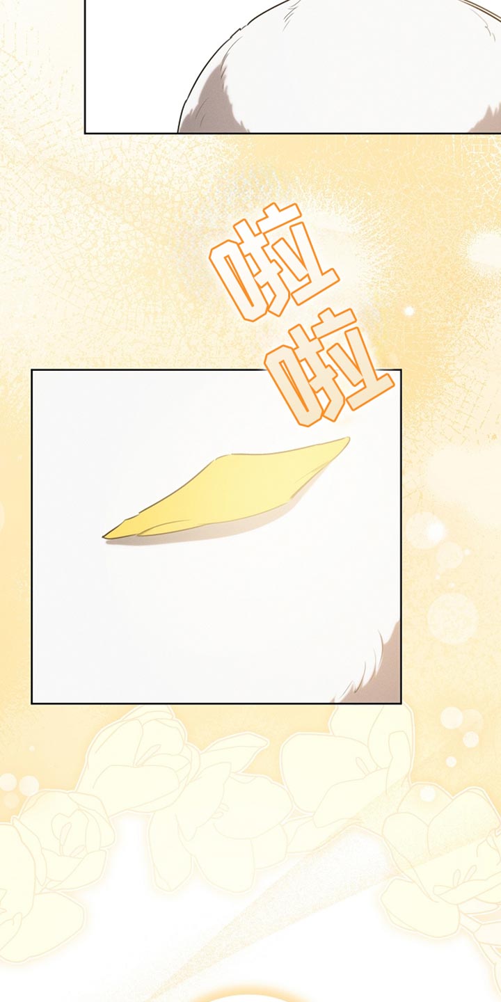 白鸟奇遇记漫画全集漫画,第68章：久等了吧1图