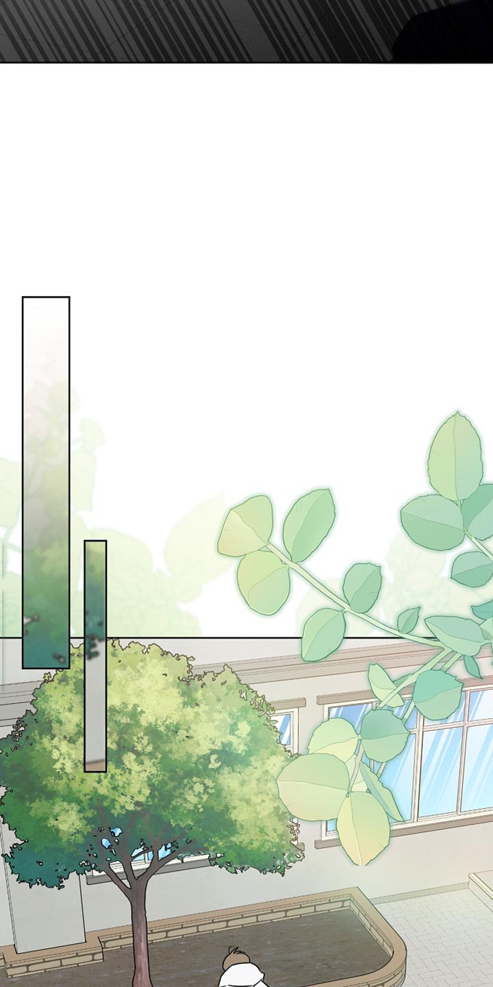 白鸟获取漫画,第59章：受伤的小鸟2图