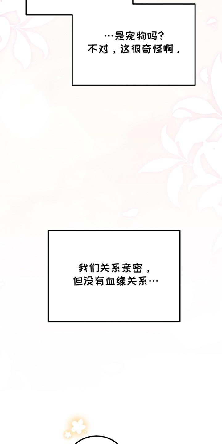 白鸟奇遇记漫画,第64章：朋友2图