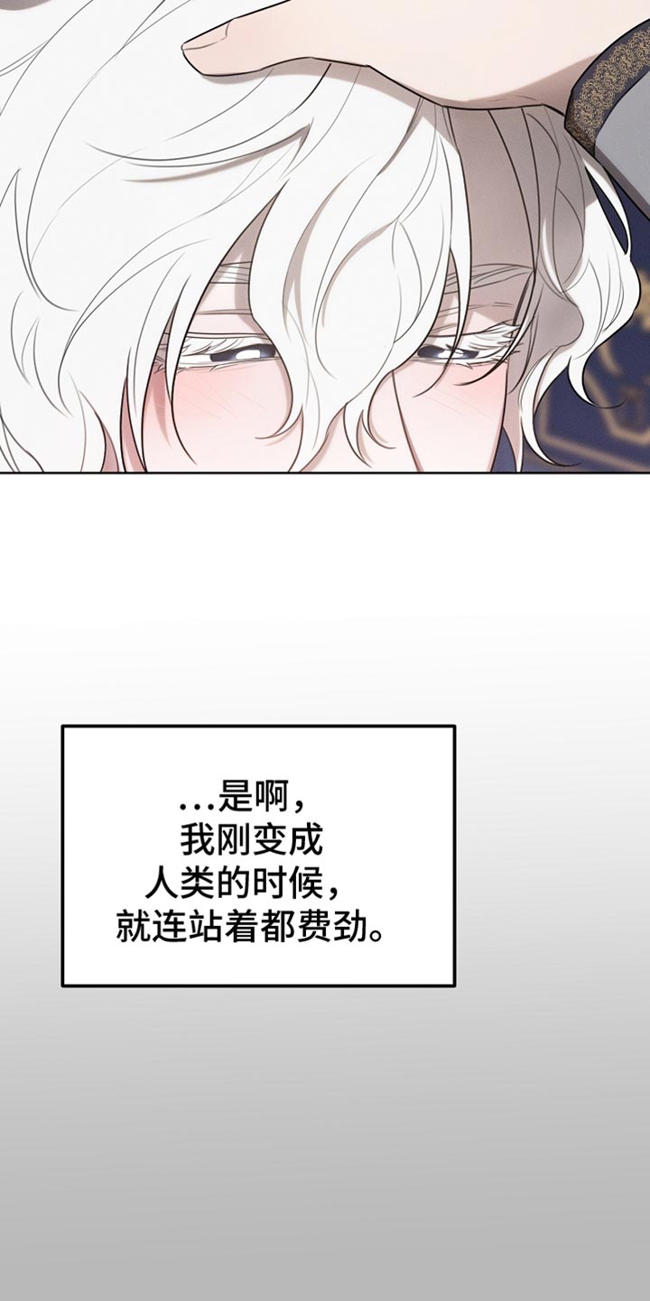 白鸟红酒漫画,第66章：约定3图