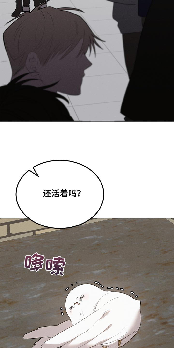 白鸟获取漫画,第59章：受伤的小鸟1图