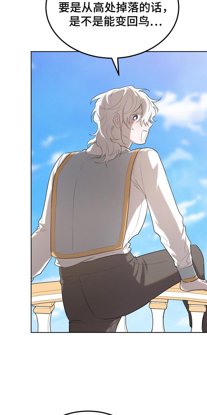 白鸟头发怎么获得漫画,第66章：约定1图