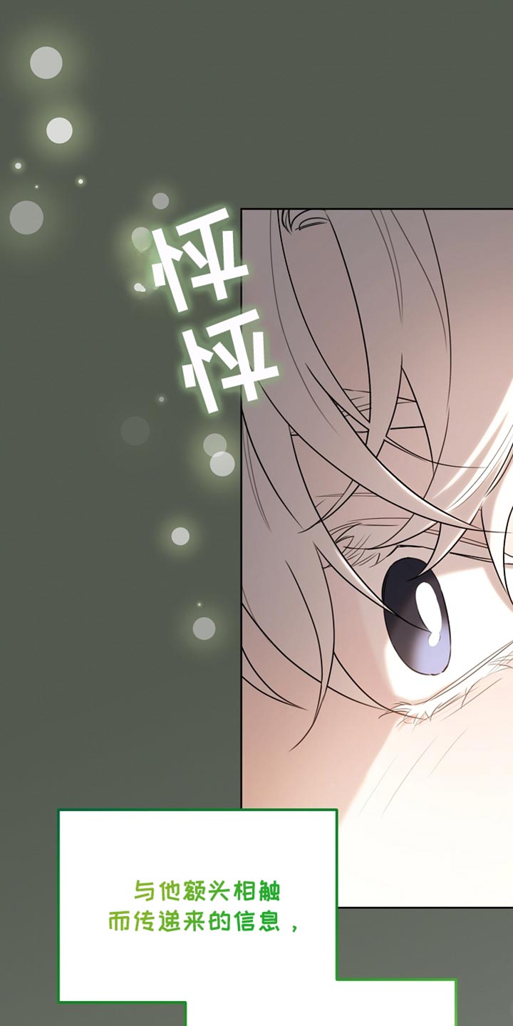 白鸟奇遇记漫画全集漫画,第68章：久等了吧3图