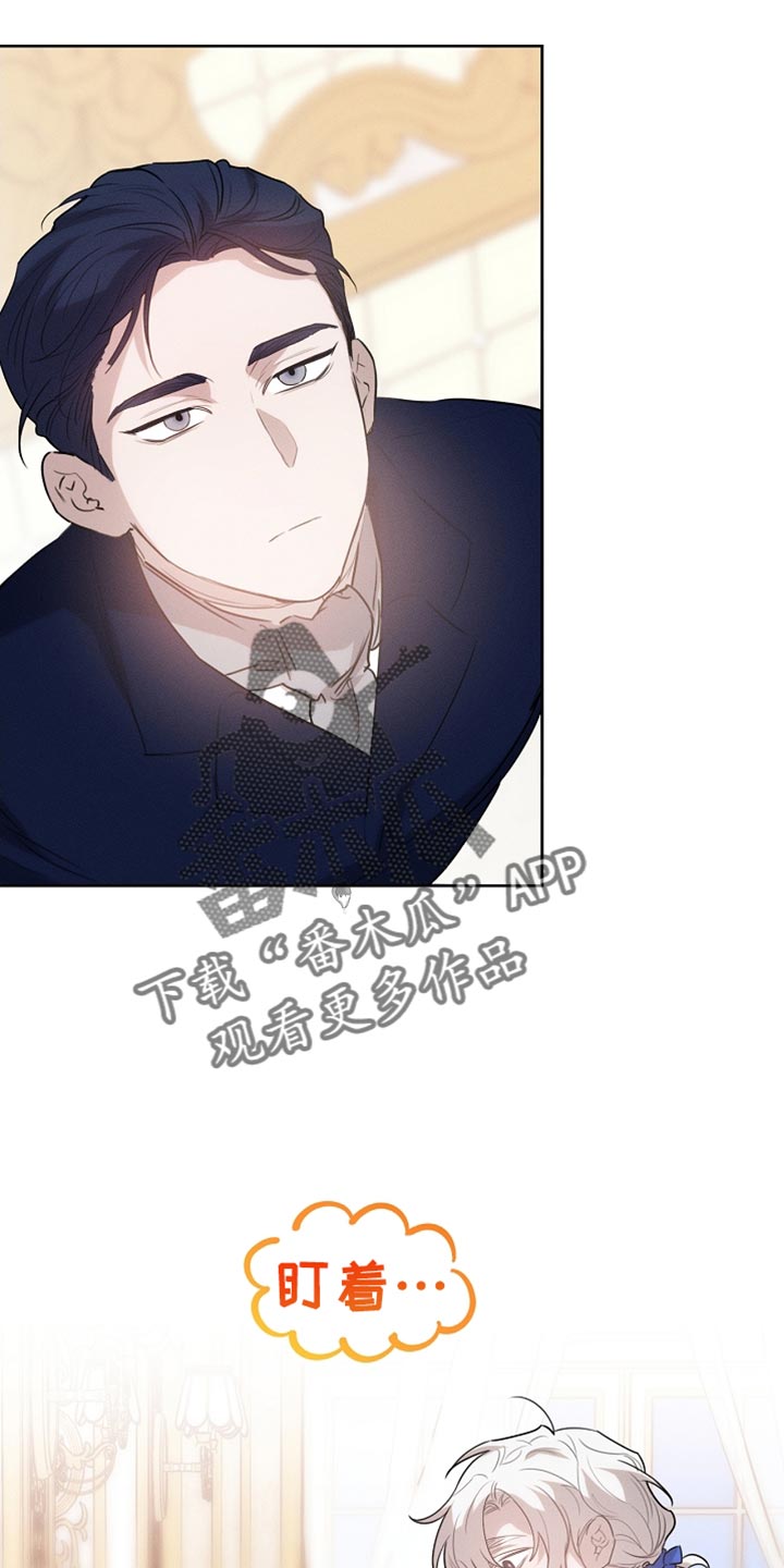 白鸟奇遇记漫画,第64章：朋友5图