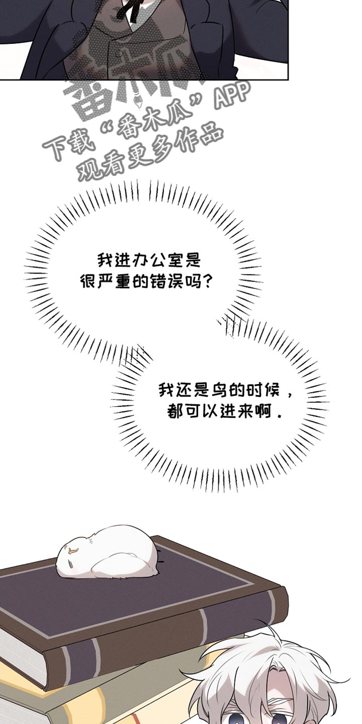 白鸟座漫画,第63章：只是客人4图