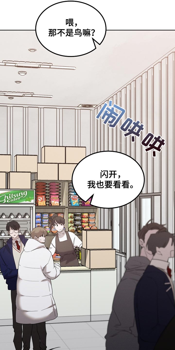 白鸟获取漫画,第59章：受伤的小鸟5图