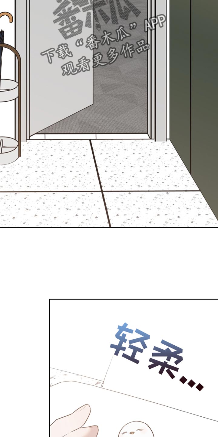 白鸟获取漫画,第59章：受伤的小鸟2图