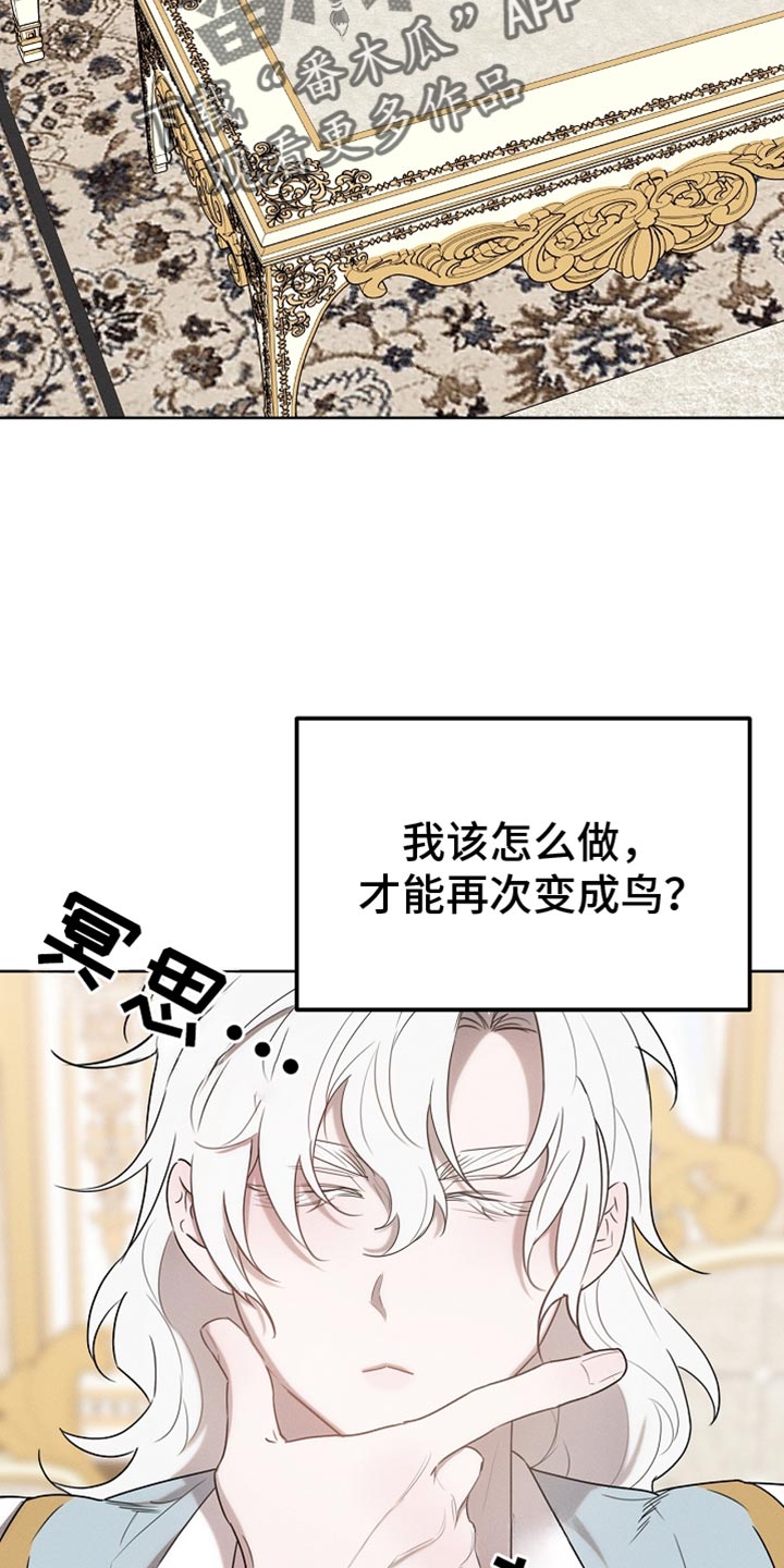 白鸟红酒漫画,第66章：约定1图