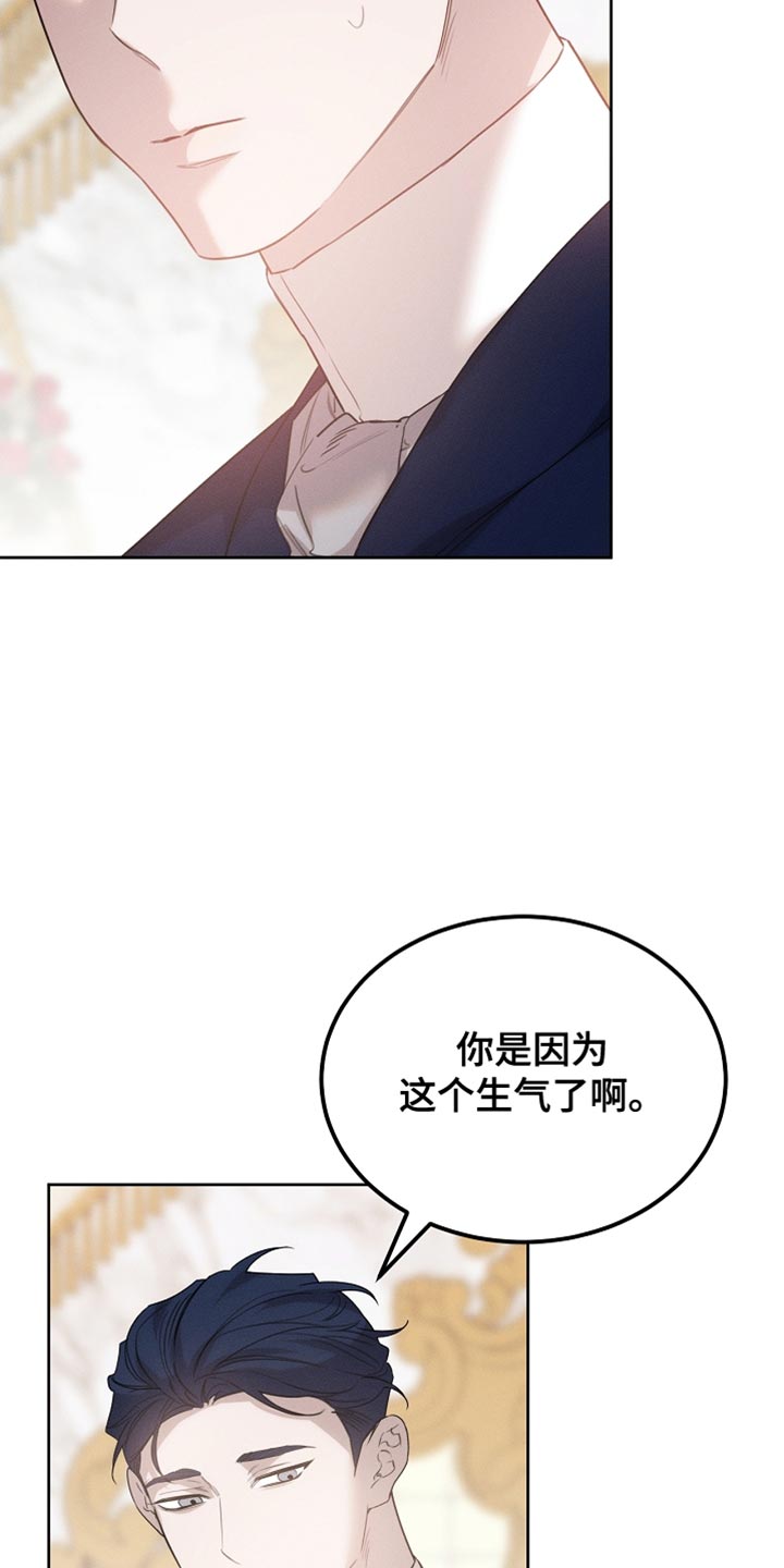 白鸟奇遇记漫画,第64章：朋友3图