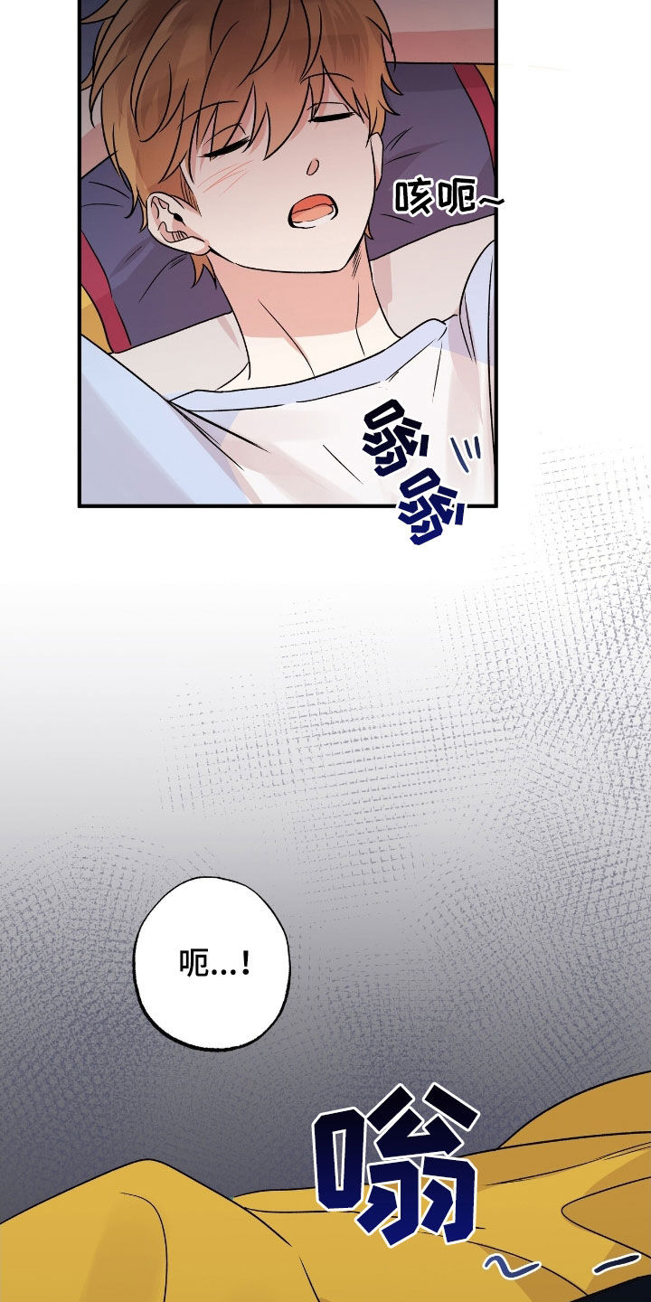 他的专属小狗漫画,第41章：这只笨狗2图