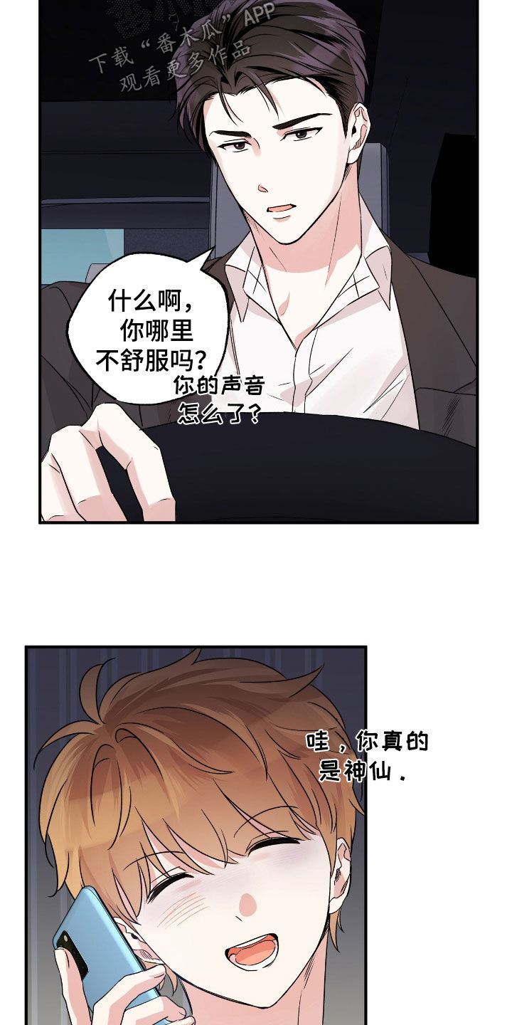 他的专属小狗漫画,第41章：这只笨狗5图