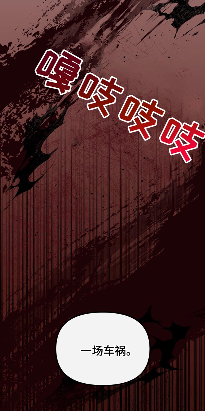 错位的爱什么意思漫画,第51章：一场车祸2图