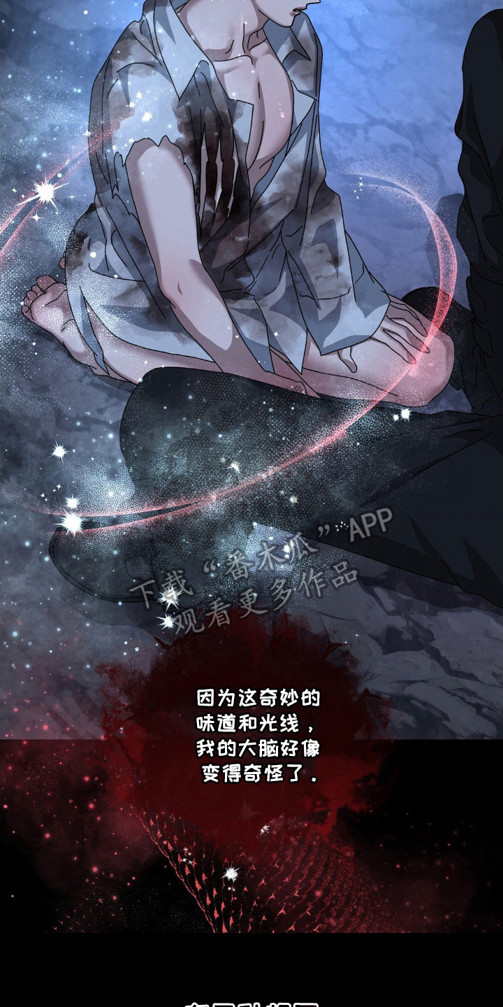 在深渊等你漫画,第40章：当成工具3图