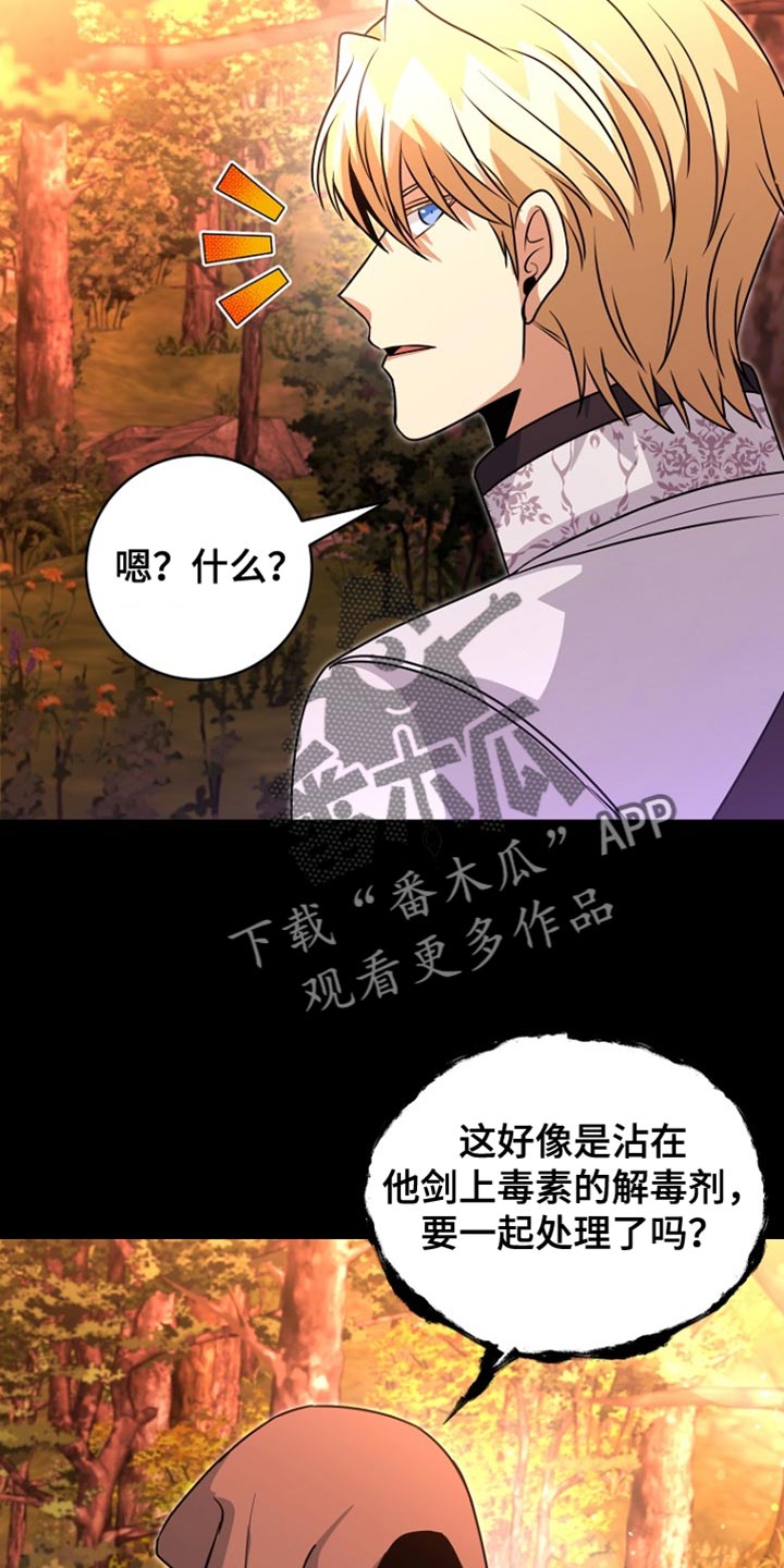 皇家教师漫画完整版漫画,第44章：下落不明4图