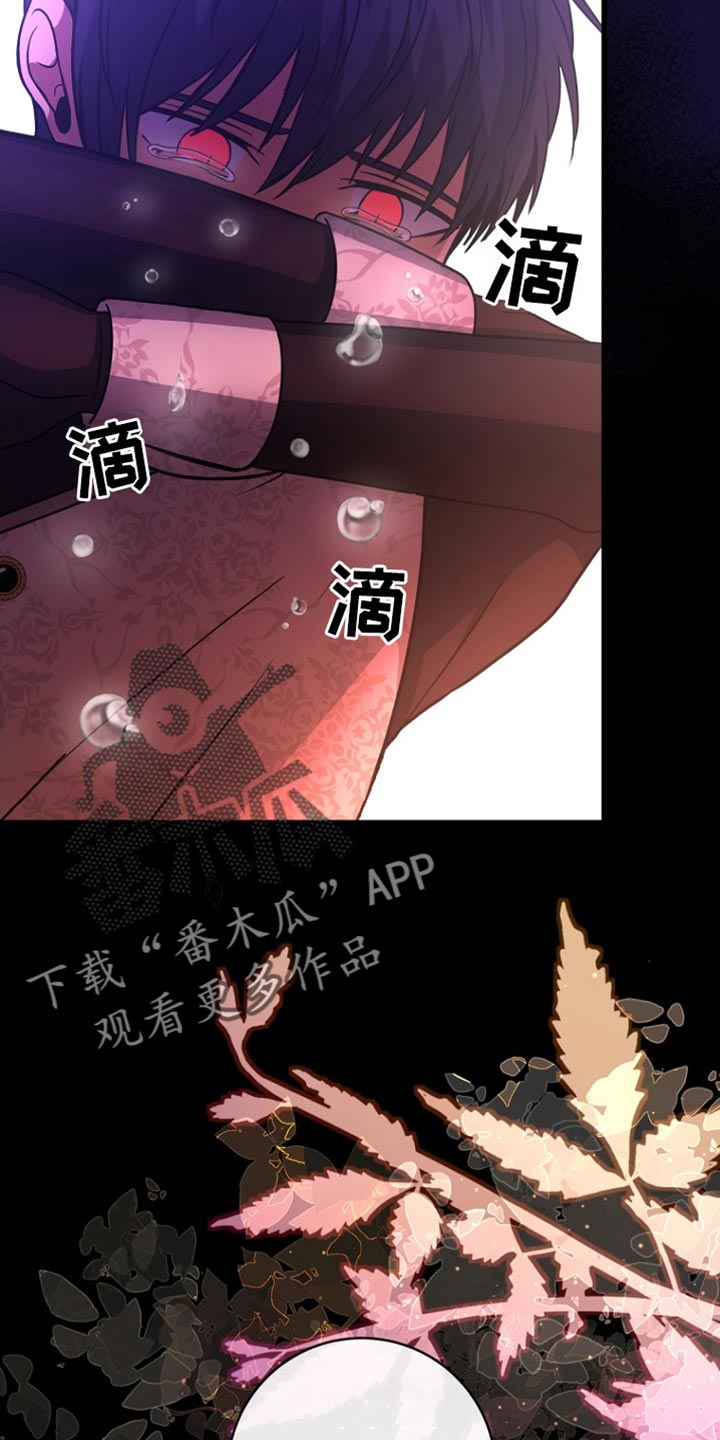 皇家教师漫画主角介绍漫画,第47章：借口5图