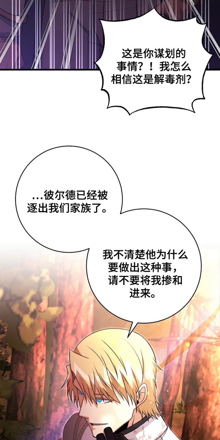 王室教师海涅高清壁纸漫画,第44章：下落不明5图