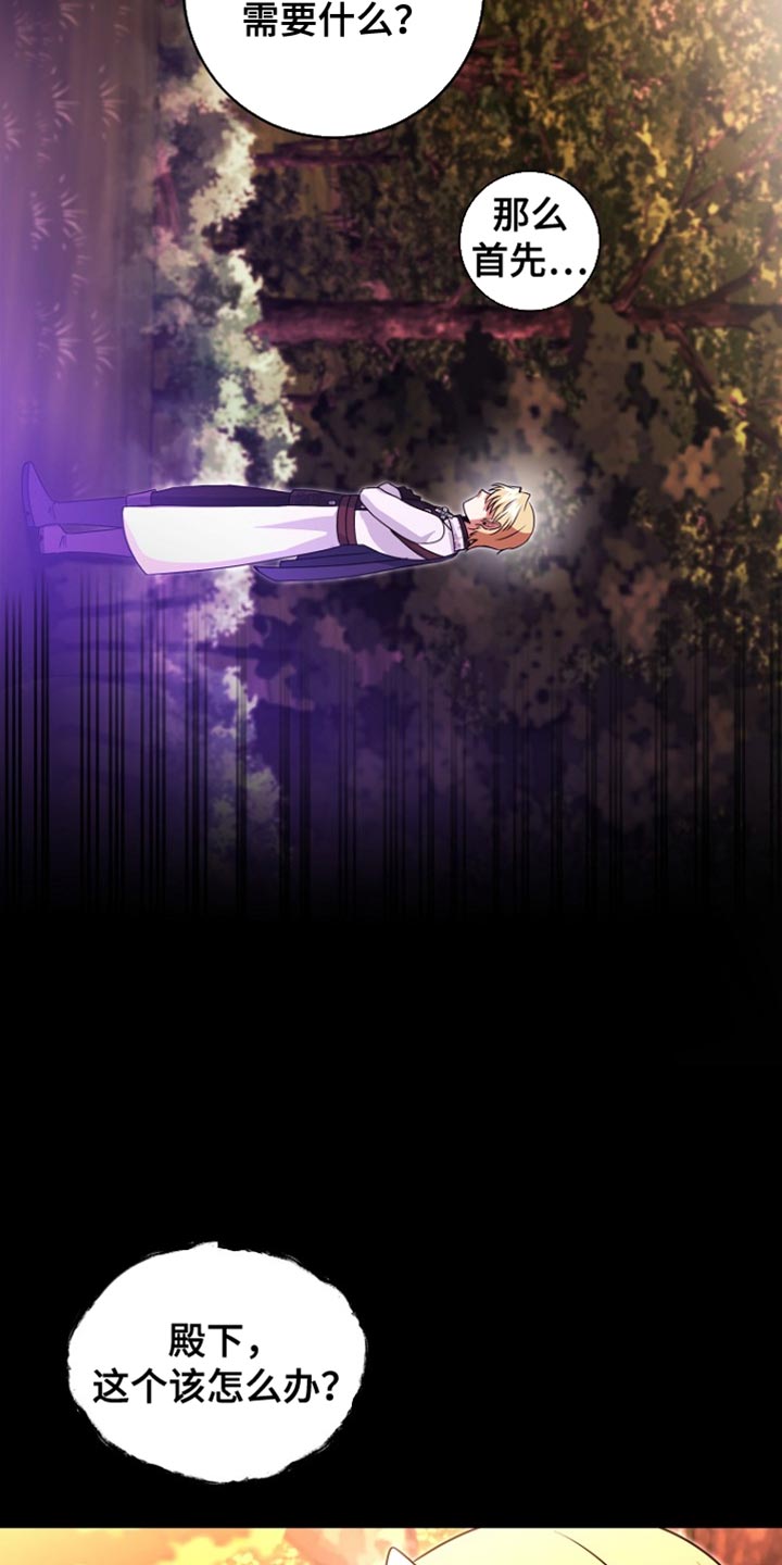 皇家教师漫画完整版漫画,第44章：下落不明3图