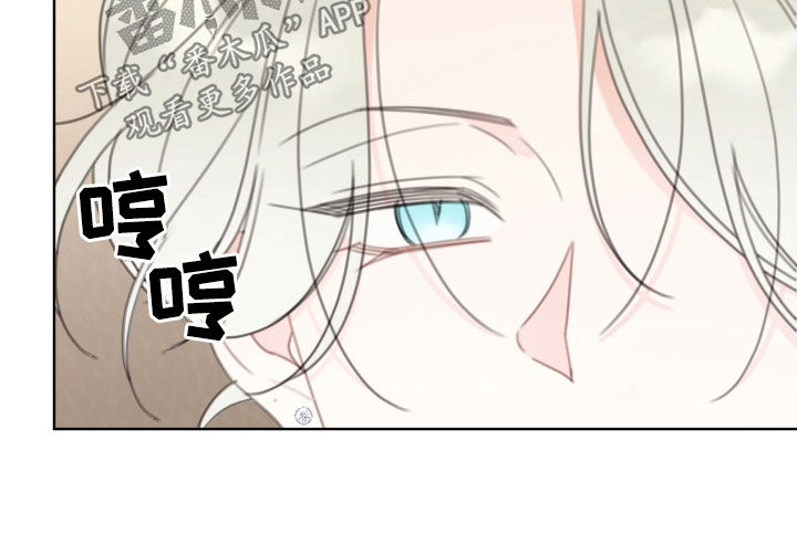 被强行契约之后在哪里看漫画,第43章：拍摄4图