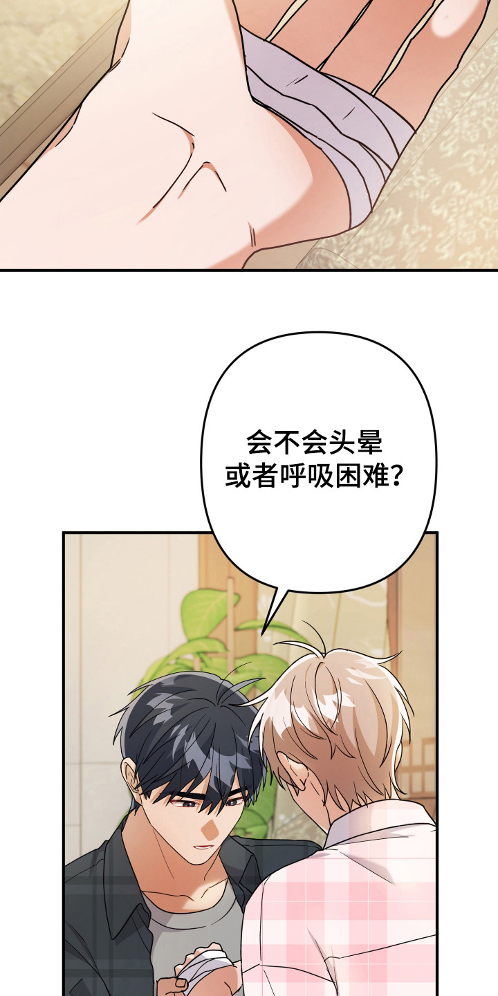 灰熊的玫瑰住宅韩漫漫画,第39章：没事的5图