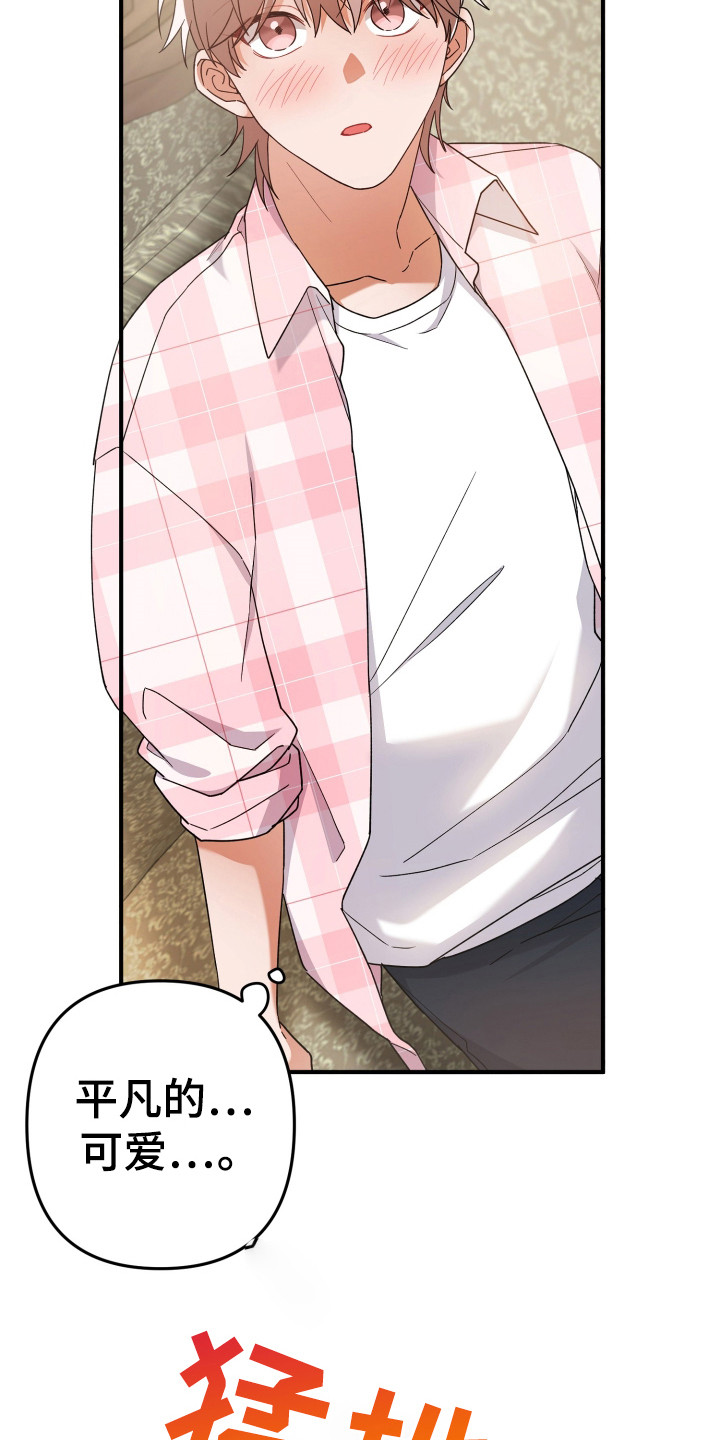 灰熊房子有多大漫画,第40章：变温柔的药4图