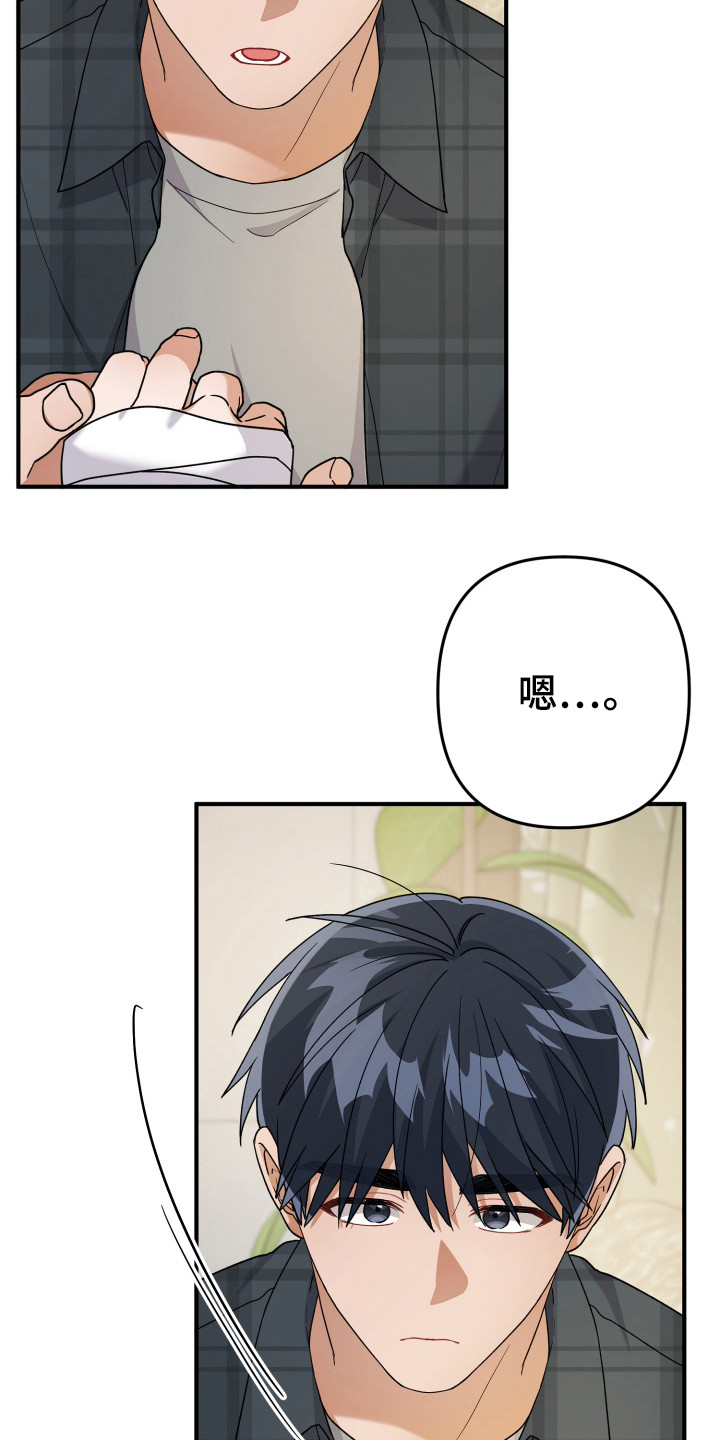 灰熊的玫瑰住宅漫画蛋蛋漫画漫画,第39章：没事的2图