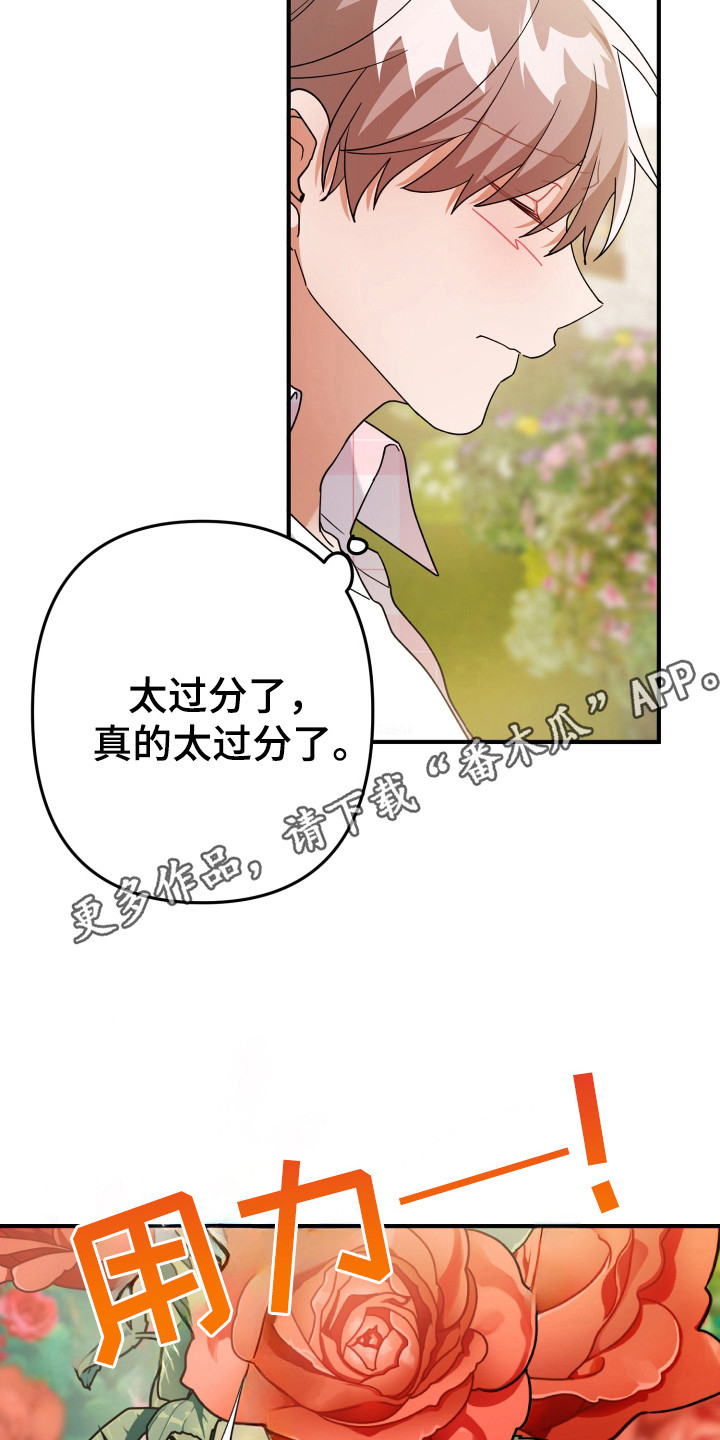 灰熊的玫瑰住宅韩漫漫画,第39章：没事的3图