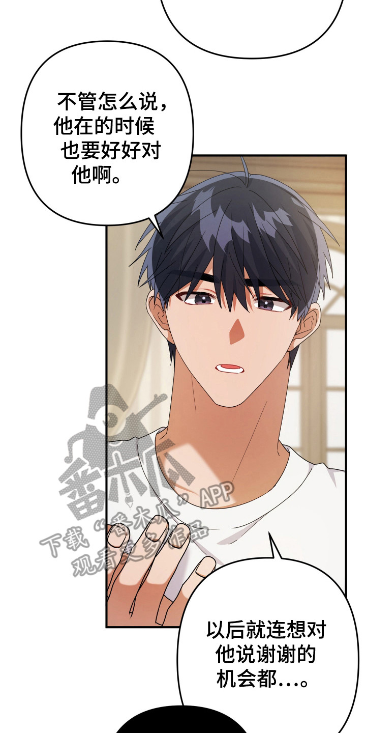 灰熊的玫瑰住宅韩漫漫画,第36章：虚假生活5图