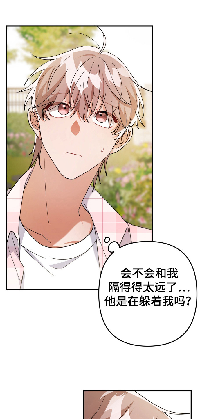 灰熊的玫瑰住宅韩漫漫画,第39章：没事的2图