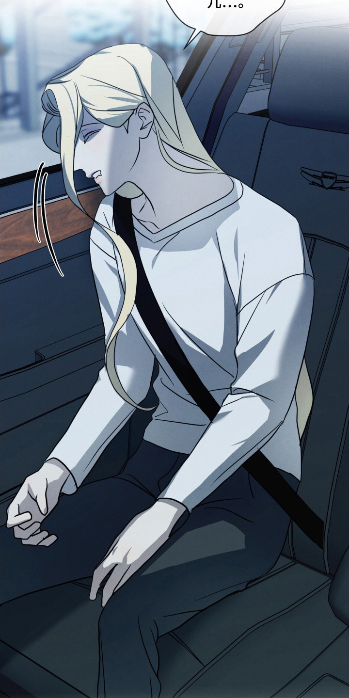 第29章：特殊取向0