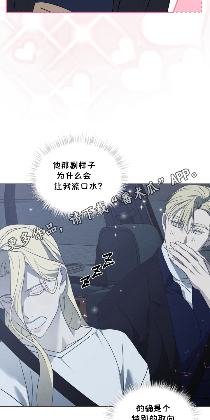 第29章：特殊取向2