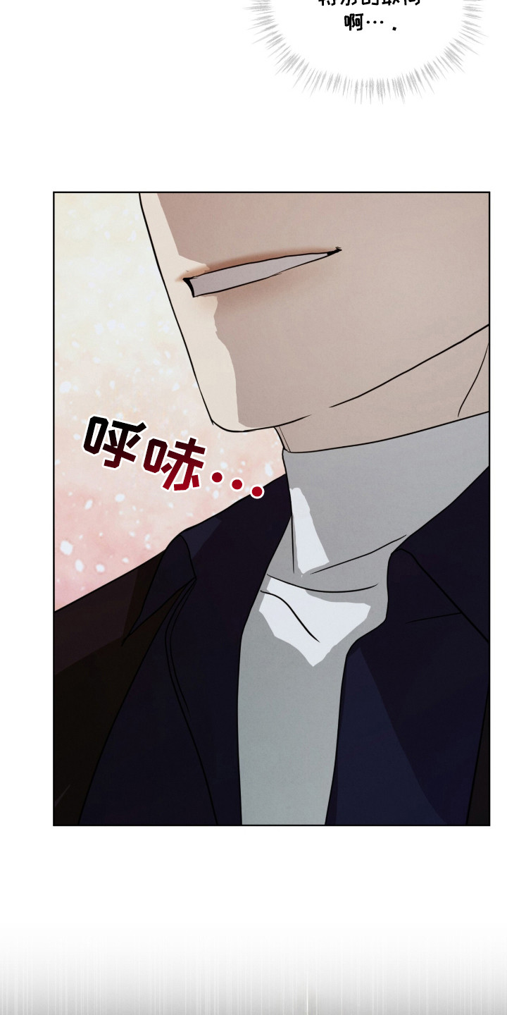 第29章：特殊取向3