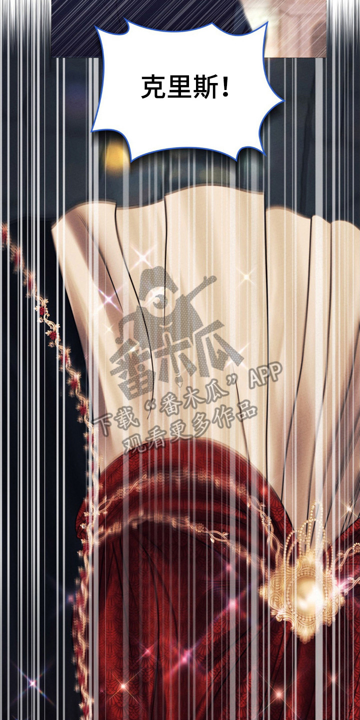 歌剧邪影漫画,第48章：演出表演3图