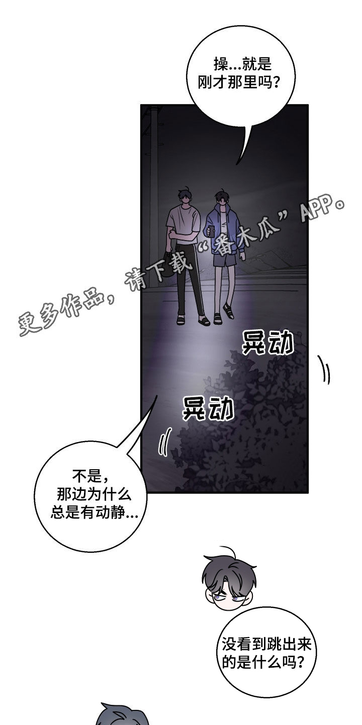 第34章：胡思乱想0