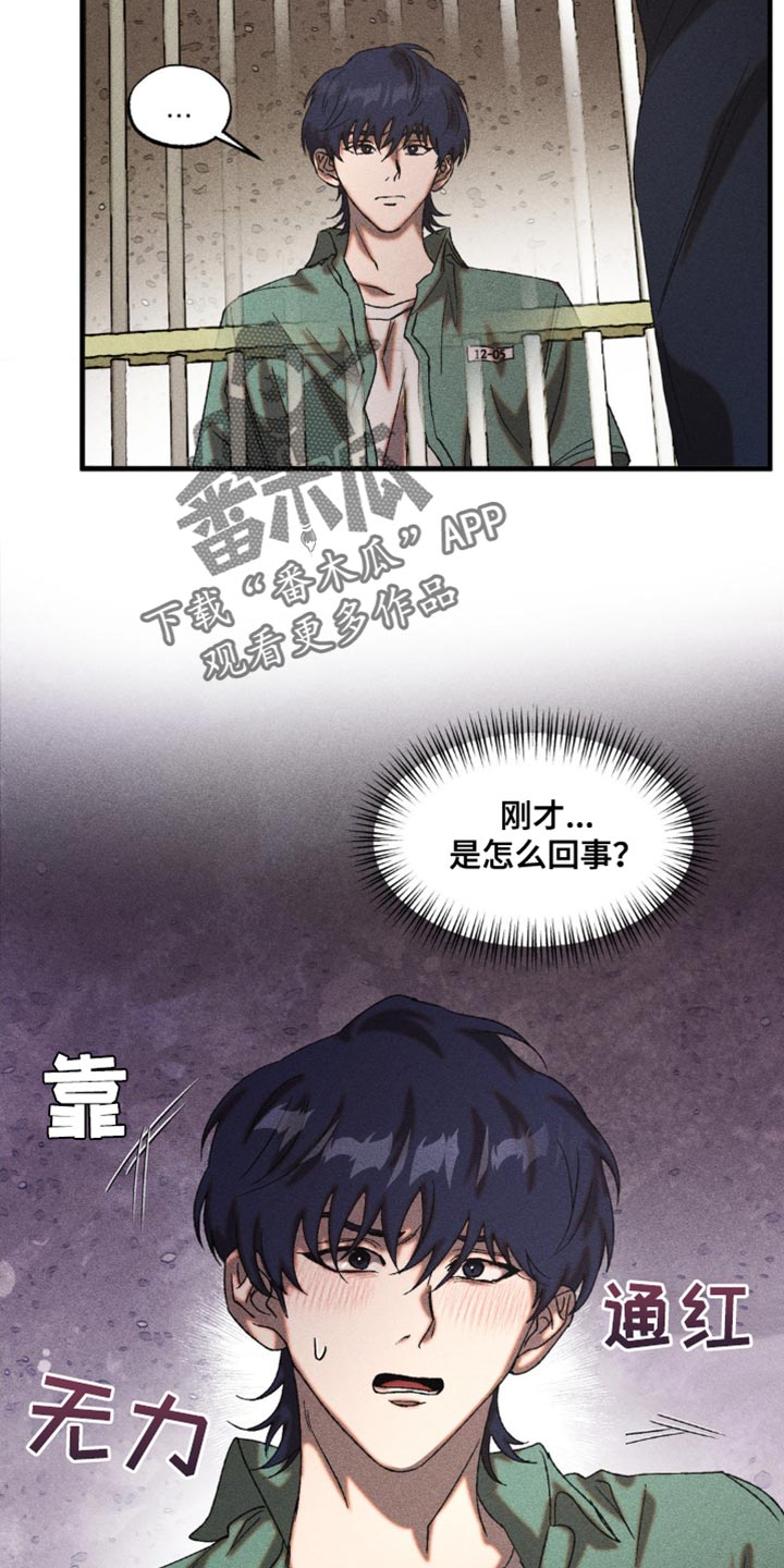 第33章：差异3